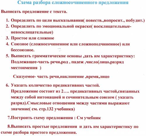 Синтаксический разбор предложения по плану. Моих протестов либо не слышали, либо секретарши уже не б