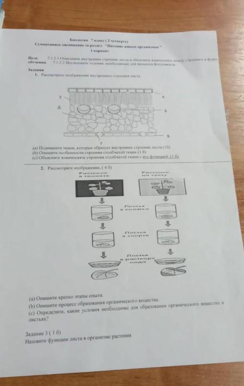 (а)Подпишите ткани ,которые образуют внутренние строение листа (b)Опишите особенности строения столб