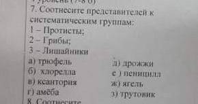 Сортнесите представителей к систематическим группам изображёным на картинке