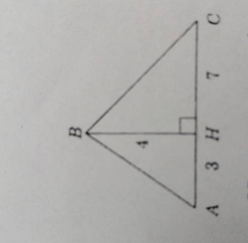 Площадь треугольника, дайте ответ