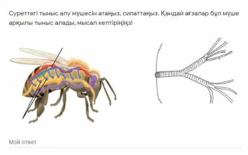 это задание надо выпольнит сегодня