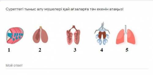 это задание надо выпольнит сегодня