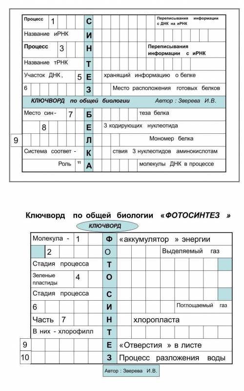 красворд по биологии.Тема:обмен веществ.9 класс