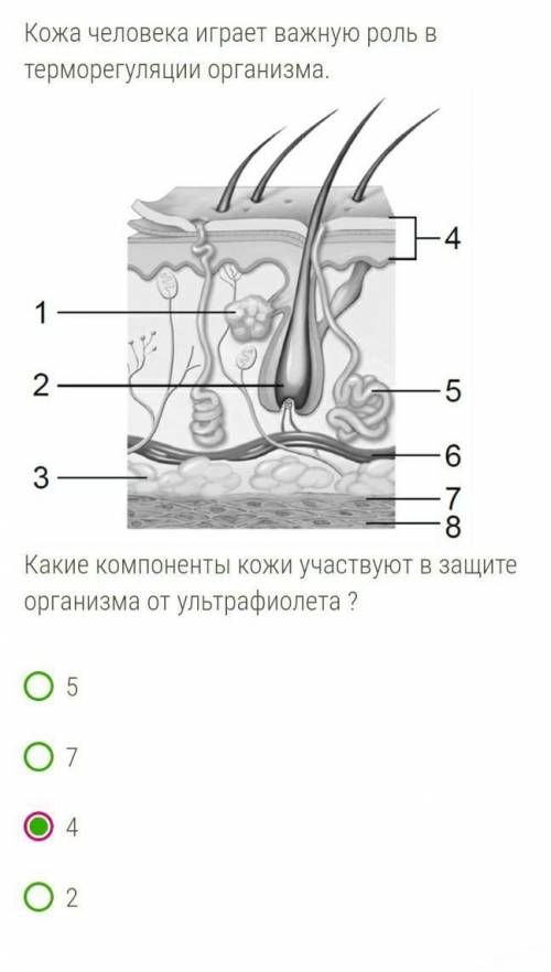 Скажите я правильно выбрала вариант? Если нет, то скажите какой будет правильный