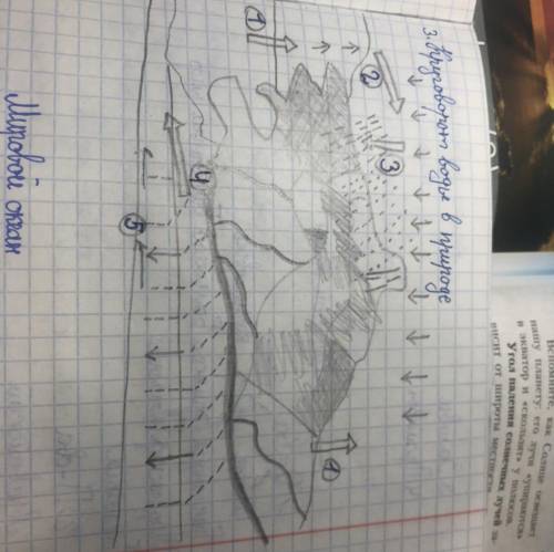 3.Какими цифрами на схеме круговорота воды отмечены? Испарение Перенос влаги Осадки Реки Подземные в