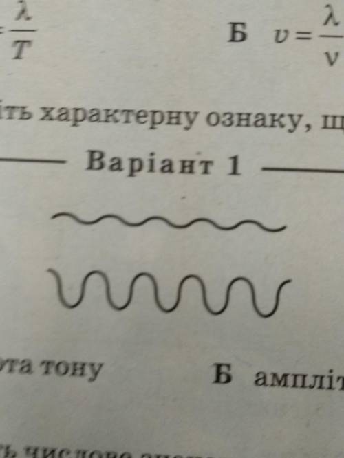 Укажите характерну ознаку , шо за нею відрізняюця хвилі зображені на рисунку