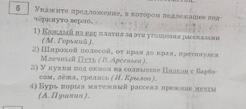 6.укажите предложение в которое подчёркнуто верно