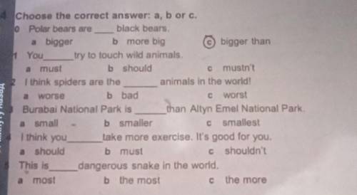 С 4 Choose the correct answer: a, b or c. :0 Polar bears are black bears. a bigger b more big bigger