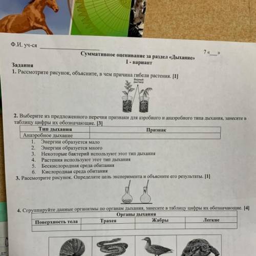 2. Выберите из предложенного перечня признаки для аэробного и анаэробного типа дыхания, занесите в т