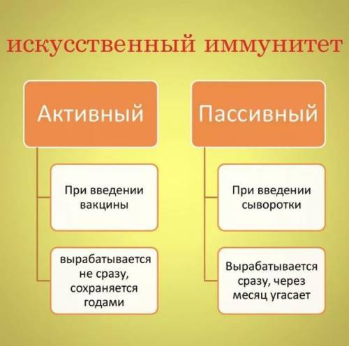 4. В чем разница между активным и пассивным искусственным иммунитетом