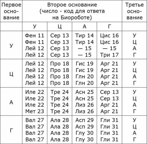 Известно, что комплементарные цепи нуклеиновых кислот антипараллельны (5’ концу в одной цепи соответ