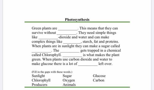 Photosynthesis Fill in the gap with words from the box (from the photo) Please help I have test tomo