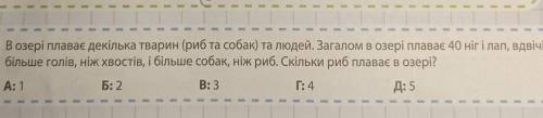 іть В озері плаває декілька тварин (риб та собак) та людей. Загалом в озері плаває 40 ніг і лап, вдв