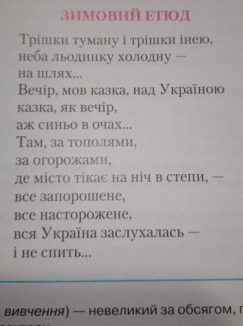 Виписати зорові образи з віршу Зимовий етюд