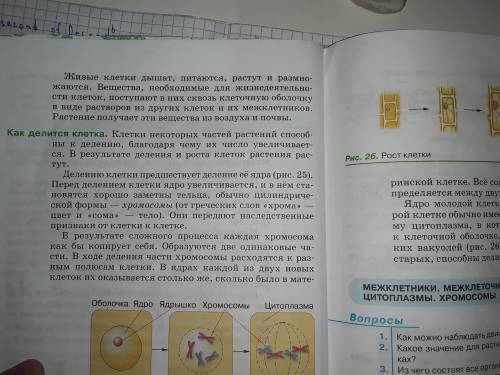 Не очень краткий пересказ !