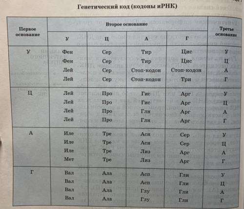 Используя таблицу генетического кода определите фрагмент иРНК,антикодоны тРНК и аминокислотный соста