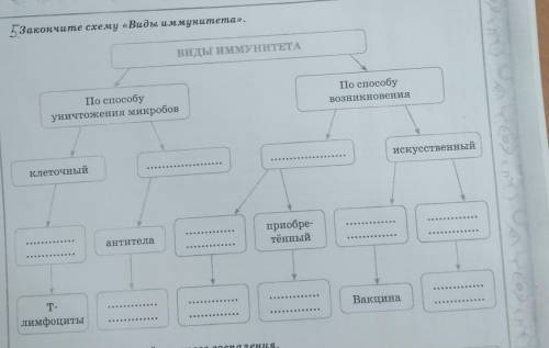 Закончите схему виды иммунитета