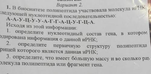 Задача по молекулярной биологии, ДНК РНК, УМОЛЯЮ, ОТ ЭТОГО ЗАВИСИТ МОЯ СУДЬБА