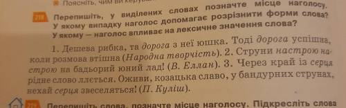 218 Перепишіть, у виділених словах Позначте місце наголосу. У якому випадку наголос допомагає розріз