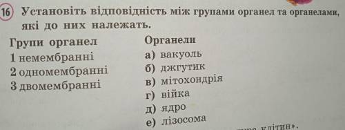 Установіть відповідність між групами органел та органелами які до них належать