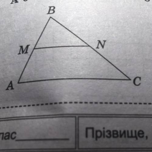 Користуючись рисунком, знайдіть MN, якщо AC = 20 см, MN || АС , а точка M ділить сторону AB трикутни