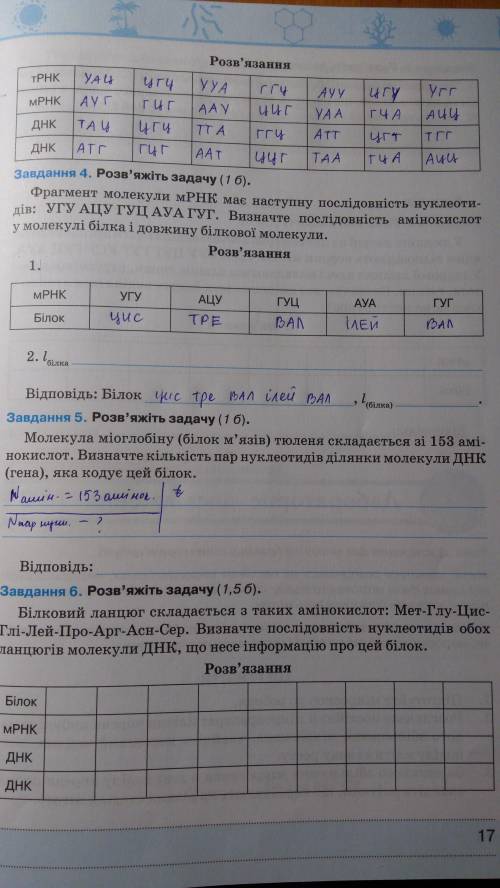 До іть виконати завдання 5, будь ласка, і скласти мРНК у 6 завданні