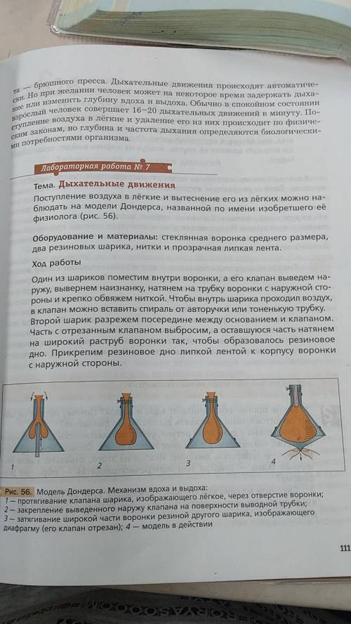 Лабораторная работа 7 по биологии 8 класс задание : определите где какое давление в колбе и шариках.