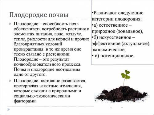 Мне нужна конкретная иеформаци? От каких действий человека в лесу плодородие почвы снижается?