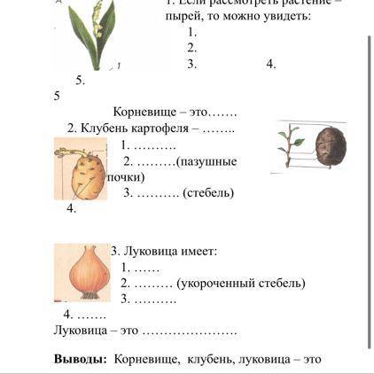 решить лабораторную работу