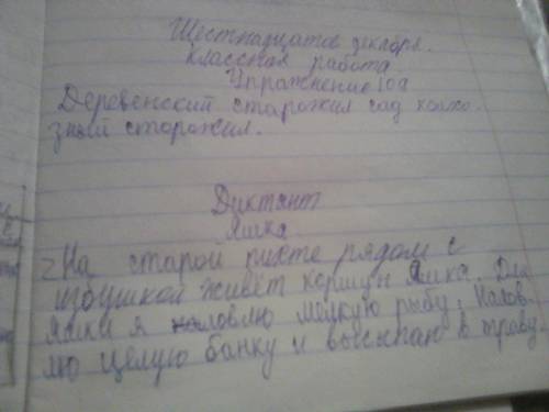 . Нужно найти склонение и падеж в диктанте.