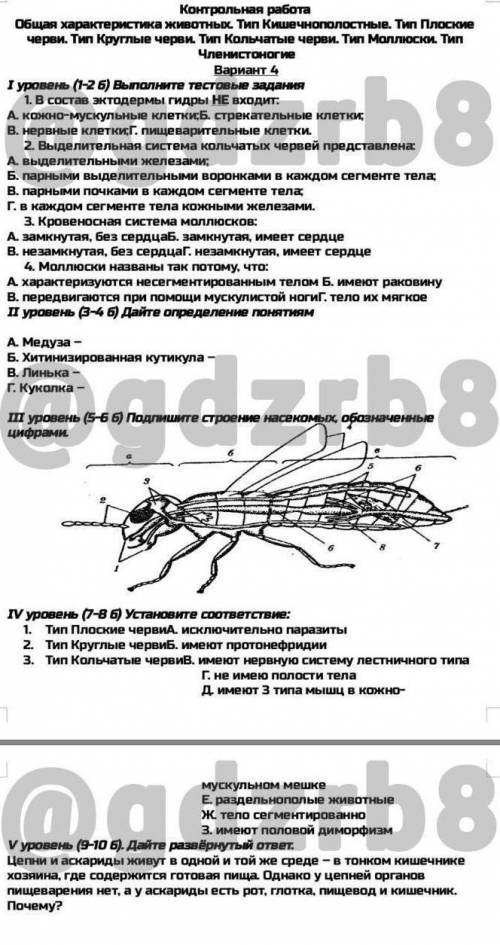 решить нажмите на картинку