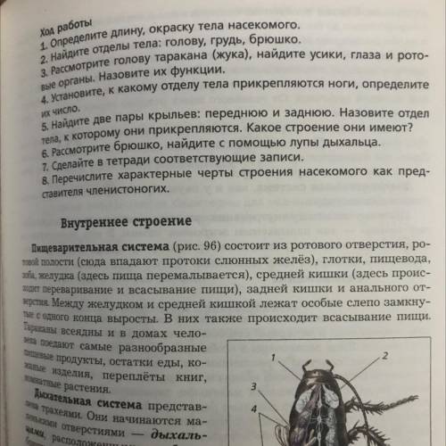 Лабораторная работа по биологии седьмой класс надо.