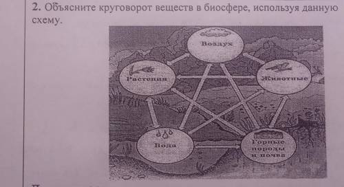 2. Объясните круговорот веществ в биосфере, используя данную схему.