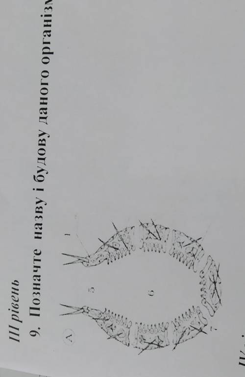 Отметьте название и строение данного организма (2 б) .Позначте назву і будову даного організму (2 б)