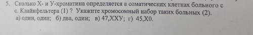 Сколько хроматин один один же и почему ответ напишите