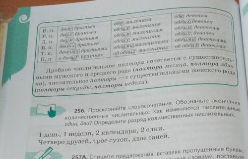 256. Просклоняйте словосочетания. Обозначьте окончания количественных числительных. Как изменяются ч