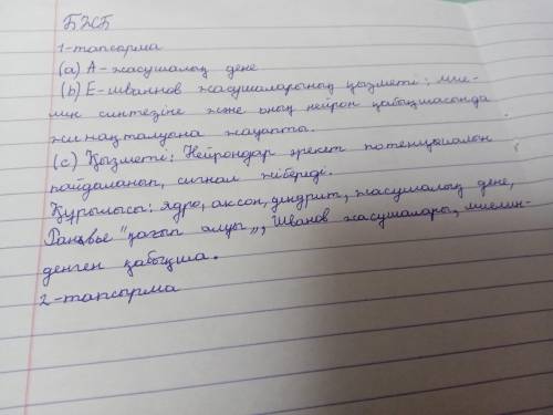 Сызбада жуйке улпасынын курылымдылык жане функционалдык бірлігі-нейрон берілген