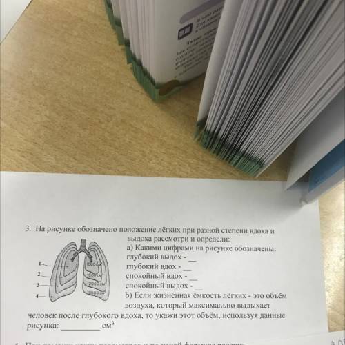 3. На рисунке обозначено положение лёгких при разной степени вдоха и выдоха рассмотри и определи: а)