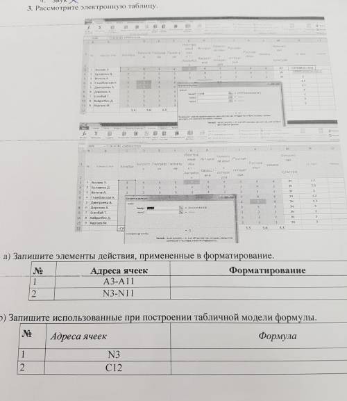 A) Запишите элементы действия, примененные в форматирование. 212NoАдреса ячеекA3-A11N3-N11b) Запишит