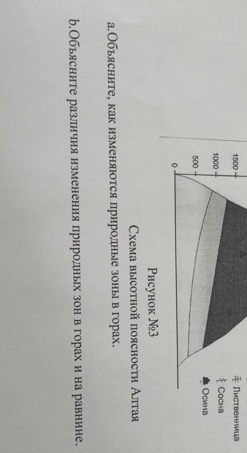 Используя рисунок объясните изменение природных зон в горах а. Объясните, как изменяются природные з