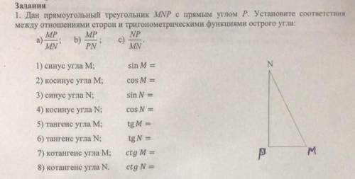 Дан прямоугольный треугольник MNP с прямым углом P. Установите соответствие