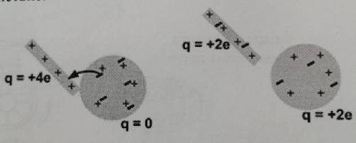 положительно заряженной палочки касаются нейтрально го шара и затем отдаляют его от этого шара сформ