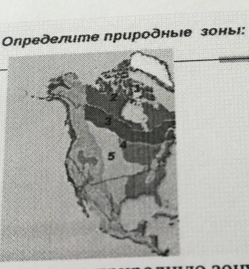 Задание № 1. Рассмотрите природную зону Северной Америки Определите природные зоны: (а) Определите п