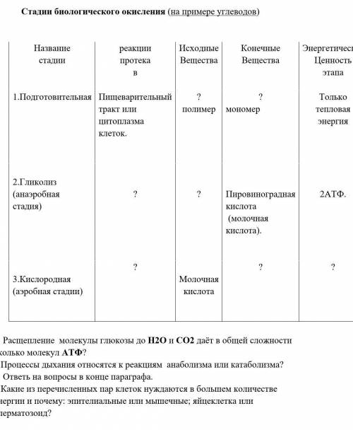 Taблица стадии биологического окисления на примере углеводов