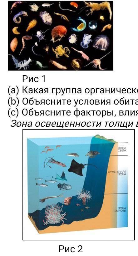 Для вод Мирового океана характерны зональные закономерности Рис 1 (а) Какая группа органического мир