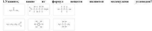 , определить, какие из веществ являются молекулами углеводов