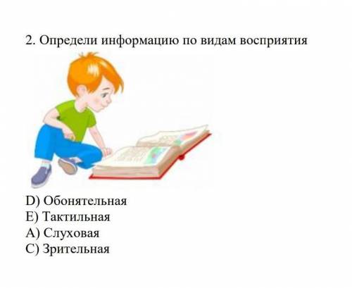 2. Определи информацию по видам восприятия D) Обонятельная E) Тактильная А) Слуховая C) Зрительная