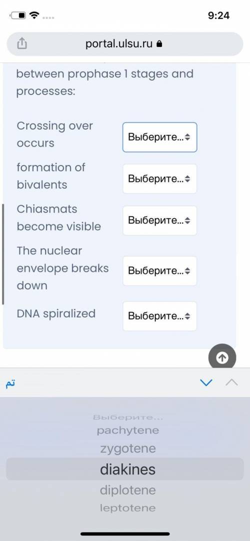 Between prophase 1 stages and processes: