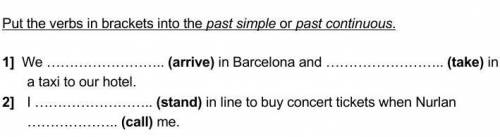 Put the verbs in brackets into the past simple or past continuous.