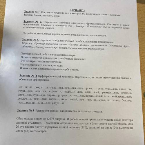 ВАРИАНТ 3 Задание N 1. Составьте предложения, в которых бы различались слова — омонимы. Патрон, бычо